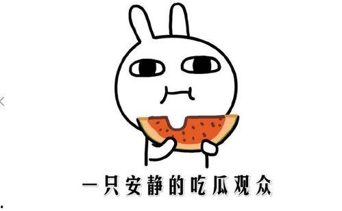 网络词吃瓜是什么意思啊,吃瓜背后的文化内涵