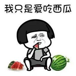 你喜欢吃娱乐圈的瓜吗